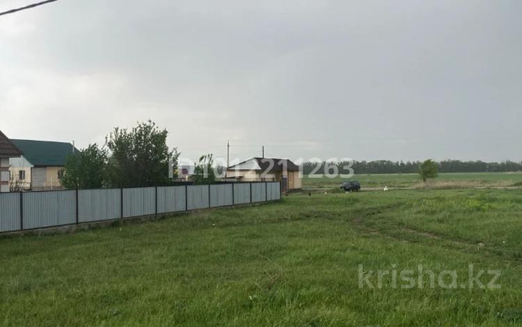 Участок · 8 соток, ул Медеу 21 за 11 млн ₸ в Кызыл ту-4 — фото 4
