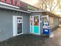 Еркін · 260 м², бағасы: 120 млн ₸ в Алматы, Жетысуский р-н — фото 10