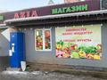 Еркін · 260 м², бағасы: 120 млн ₸ в Алматы, Жетысуский р-н — фото 12
