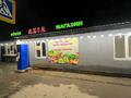 Еркін · 260 м², бағасы: 120 млн ₸ в Алматы, Жетысуский р-н — фото 17