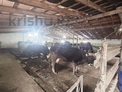 База · 300 м² за 34 млн 〒 в Талдыкоргане
