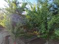 Жеке үй · 4 бөлме · 120 м² · 8 жүзд., Тасбогет, А.Кунанбаев 31, бағасы: 15 млн ₸ в  — фото 9