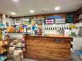 Дүкендер мен бутиктер · 47 м², бағасы: 32 млн ₸ в Талдыкоргане — фото 5