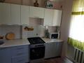 Отдельный дом · 2 комнаты · 57 м² · 4 сот., мкр Карасу, ул. Шаяхметова за 34.9 млн 〒 в Алматы, Алатауский р-н — фото 9