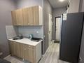 1-комнатная квартира · 23 м² · 4/9 этаж, Е-810 2/21 — Мост Улы дала и набережка за 15 млн ₸ в Астане, Есильский р-н — фото 2