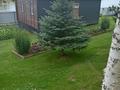 Дача · 3 комнаты · 60 м², Район базы отдыха Номат за 25 000 ₸ в Новой бухтарме — фото 3