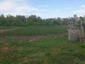 Отдельный дом · 4 комнаты · 85 м² · 24 сот., Центральная за 15 млн ₸ в Тонкерисе — фото 4