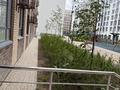 3-комнатная квартира · 88 м² · 5/9 этаж, ул. Айнаколь 64 за 53 млн ₸ в Астане, Алматы р-н — фото 11