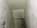 Дом · 4 комнаты · 150 м², мкр Карасу за 70 000 ₸ в Алматы, Алатауский р-н — фото 13