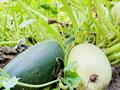 Жеке үй · 4 бөлме · 120 м² · 15 жүзд., Икарус 186 — Байтурсынова-Улы Дала, бағасы: 800 000 ₸ в Астане — фото 15