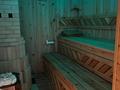 Отдельный дом · 12 комнат · 650 м² · 13 сот., Ломова — Ворушина - Гагарина за 210 млн ₸ в Павлодаре — фото 33
