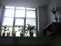 1-бөлмелі пәтер · 18 м² · 3/3 қабат, Кабанбай батыра 122 — Юбилейный, бағасы: 23 млн ₸ в Алматы, Алмалинский р-н — фото 11