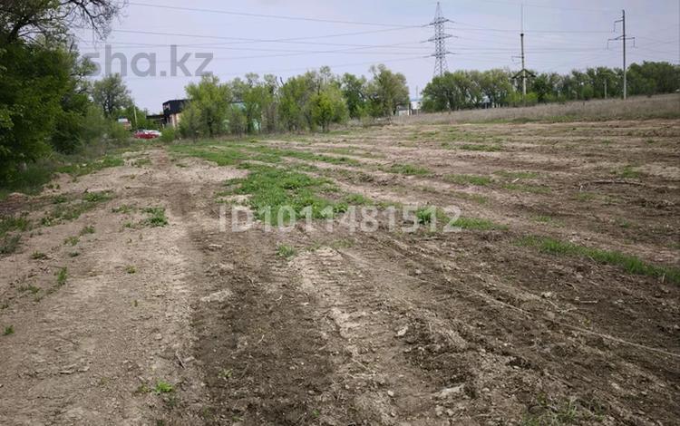 Жер телімі · 16 сотық, Байсерке, бағасы: 50 млн ₸ — фото 2