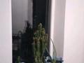 Жеке үй · 5 бөлме · 140 м² · 7 жүзд., Ленгер 112 — Базар Автовокзал рядом школо, бағасы: 18.5 млн ₸ — фото 4