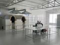 Общепит · 250 м² за 90 млн ₸ в Актобе, мкр. Курмыш — фото 12