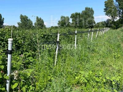 Участок · 211 соток, Каскелен за 135 млн 〒