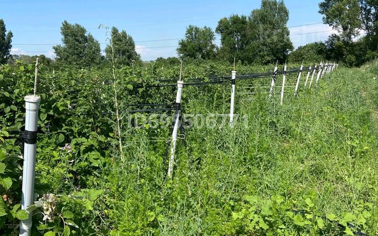 Жер телімі · 211 сотық, Каскелен, бағасы: 15 млн 〒 — фото 2