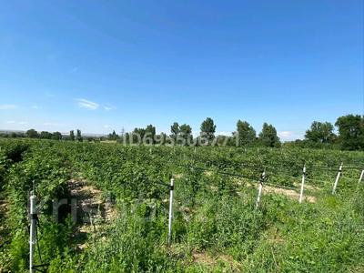 Участок · 211 соток, Каскелен за 125 млн ₸