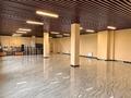 Еркін, кеңселер, дүкендер мен бутиктер, қоймалар, ауыл шаруашылығы, білім орталықтары, конференц-залдар · 100 м², бағасы: 450 000 ₸ в Астане, р-н Байконур — фото 8