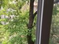 3-комнатная квартира · 63 м², мкр Коктем-1 32 — Маркова за 50.5 млн ₸ в Алматы, Бостандыкский р-н — фото 10
