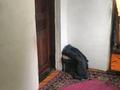Отдельный дом · 3 комнаты · 72 м² · 3.65 сот., Жуковского 36 — Матяша за 25 млн ₸ в Семее — фото 5