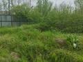 Жер телімі · 8 сотық, Есиркеп батыра 10, бағасы: 31 млн ₸ в Шымкенте — фото 6