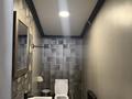 Дом · 7 комнат · 250 м², мкр Кунгей , Назира Турекулова 2 за 80 000 ₸ в Караганде, Казыбек би р-н — фото 13