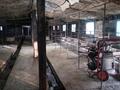 Дача · 3 комнаты · 70 м² · 130 сот., Қала шетіндегі ауылда за 25 млн ₸ в Талдыкоргане — фото 7