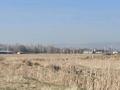 Участок · 30 соток, Тюлькубас за 6 млн 〒 в Туркестанской обл. — фото 11