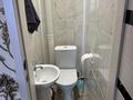 Отдельный дом · 5 комнат · 250 м² · 5 сот., Экибастуская 70 — Экибастузская радищева за 800 000 ₸ в Павлодаре — фото 17
