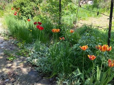 Дача · 2 комнаты · 24 м² · 7.2 сот., Талгарские дачи за 9 млн 〒 в Алматинской обл., Талгарский р-н