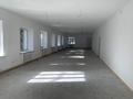 Свободное назначение • 2500 м² за 5 млн 〒 в Павлодаре — фото 7