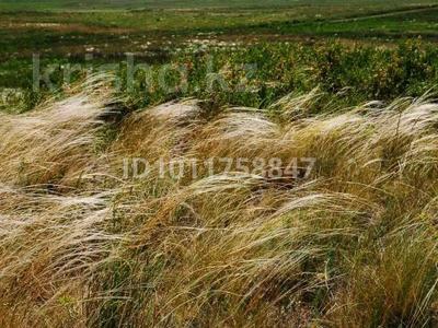 Участок · 113 га, Костомар за 185 млн ₸