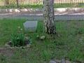 2-бөлмелі пәтер · 53.7 м² · 1/3 қабат, Пахомова 14, бағасы: 21 млн ₸ в Усть-Каменогорске — фото 8