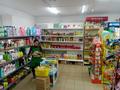 ГОТОВЫЙ БИЗНЕС -Магазин продуктовый · 300 м², бағасы: 45 млн ₸ в Шаре — фото 10