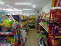 ГОТОВЫЙ БИЗНЕС -Магазин продуктовый · 300 м², бағасы: 45 млн ₸ в Шаре — фото 11