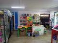 ГОТОВЫЙ БИЗНЕС -Магазин продуктовый · 300 м², бағасы: 45 млн ₸ в Шаре — фото 12