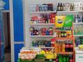 ГОТОВЫЙ БИЗНЕС -Магазин продуктовый · 300 м², бағасы: 45 млн ₸ в Шаре — фото 3
