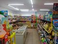 ГОТОВЫЙ БИЗНЕС -Магазин продуктовый · 300 м², бағасы: 45 млн ₸ в Шаре — фото 7