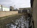 Отдельный дом · 4 комнаты · 65 м² · 8 сот., Сырымтау 16 — Забадам. Остановка ЧПЭС (Подстанция 220 дом 2) за 20.5 млн ₸ в Шымкенте, Абайский р-н — фото 10