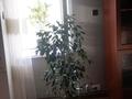 Отдельный дом · 2 комнаты · 60 м² · 16 сот., Отдельная 64 Д — Рынок Караша за 12.9 млн ₸ в Усть-Каменогорске — фото 23
