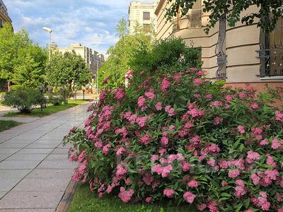 4-комнатная квартира · 162.2 м² · 2/3 этаж, Мкр. Мирас 157 за 190 млн 〒 в Алматы, Бостандыкский р-н