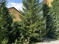 Отдельный дом · 11 комнат · 500 м² · 1500 сот., мкр Михайловка , Аманжолова 43/2 за 255 млн ₸ в Караганде, Казыбек би р-н — фото 29