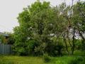 Жер телімі · 8.3 сотық, 3-я линия, бағасы: 15 млн ₸ в Кыргауылдах — фото 18