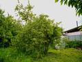 Жер телімі · 8.3 сотық, 3-я линия, бағасы: 15 млн ₸ в Кыргауылдах — фото 28