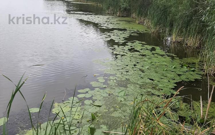 Участок · 4.9 га, Село Кажымукан за 40 млн ₸ — фото 5