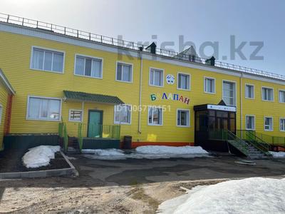 Еркін · 1000 м², бағасы: 3 млн ₸ в Бурабае