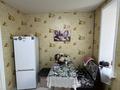 1-бөлмелі пәтер · 28 м² · 4/5 қабат, бажова 544, бағасы: 9.6 млн ₸ в Усть-Каменогорске — фото 11