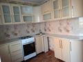 2-комнатная квартира · 44 м² · 5/5 этаж, Брусиловского 63 за 18.5 млн ₸ в Петропавловске — фото 5