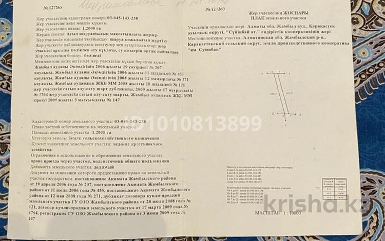 Жер телімі · 120 сотық, Жамбыл (Жамбыл ауданы), бағасы: 5 млн ₸ в Жамбыл (Жамбылский район) — фото 2